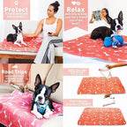 Reusable Plasma for Dogs - EcoPad