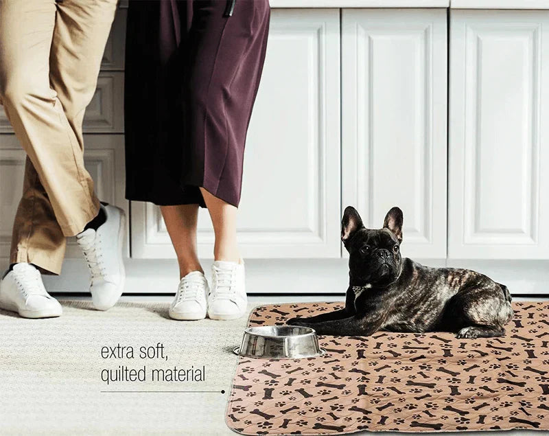 Reusable Plasma for Dogs - EcoPad