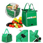 Reusable Shopping Bag - EcoCarry