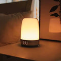Sunrise Simulation Wake-Up Light Alarm Clock