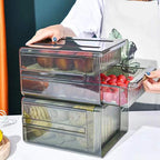 Double Layer Refrigerator Container