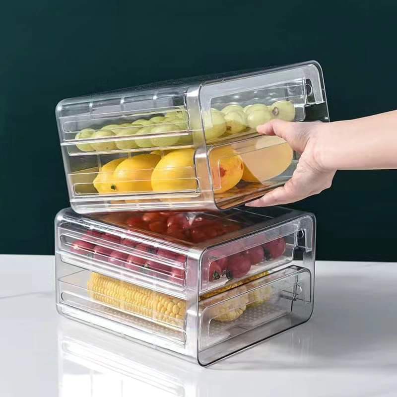 Double Layer Refrigerator Container