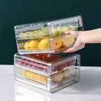 Double Layer Refrigerator Container