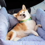 RoadTrip Pet Bolster - Pet Car Seat