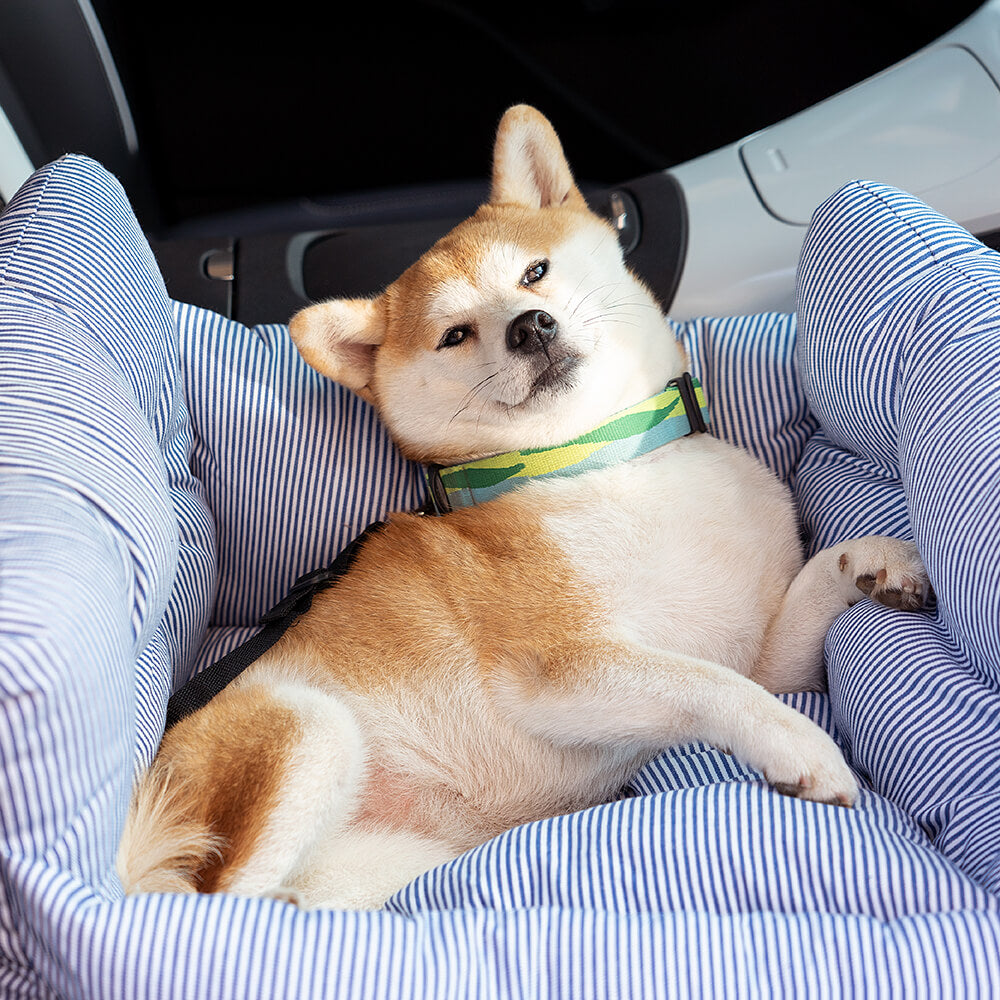 RoadTrip Pet Bolster - Pet Car Seat