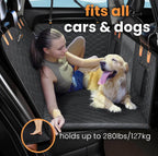 DogBench | Travel peacefully with your dog