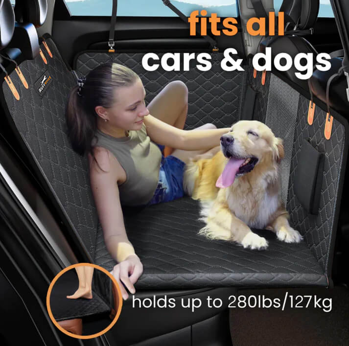 DogBench | Travel peacefully with your dog