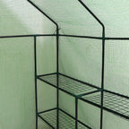 Large Walk-in Plant Greenhouse