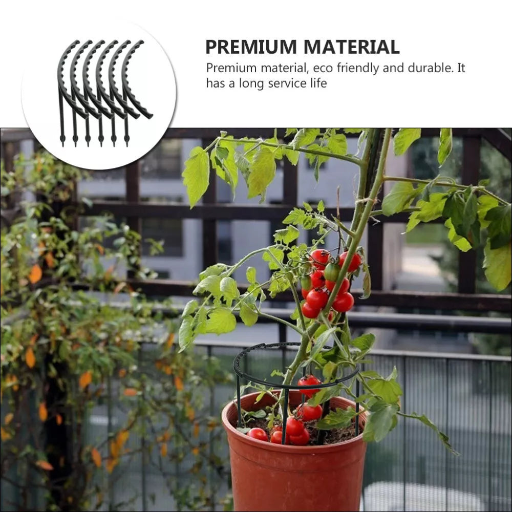 Climbing support for plants – Robust holder with cage design for growth and stability