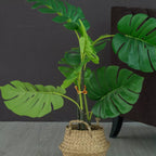 Cat-shaped Plant Clip – Cute Plant Support for Garden and House Plants
