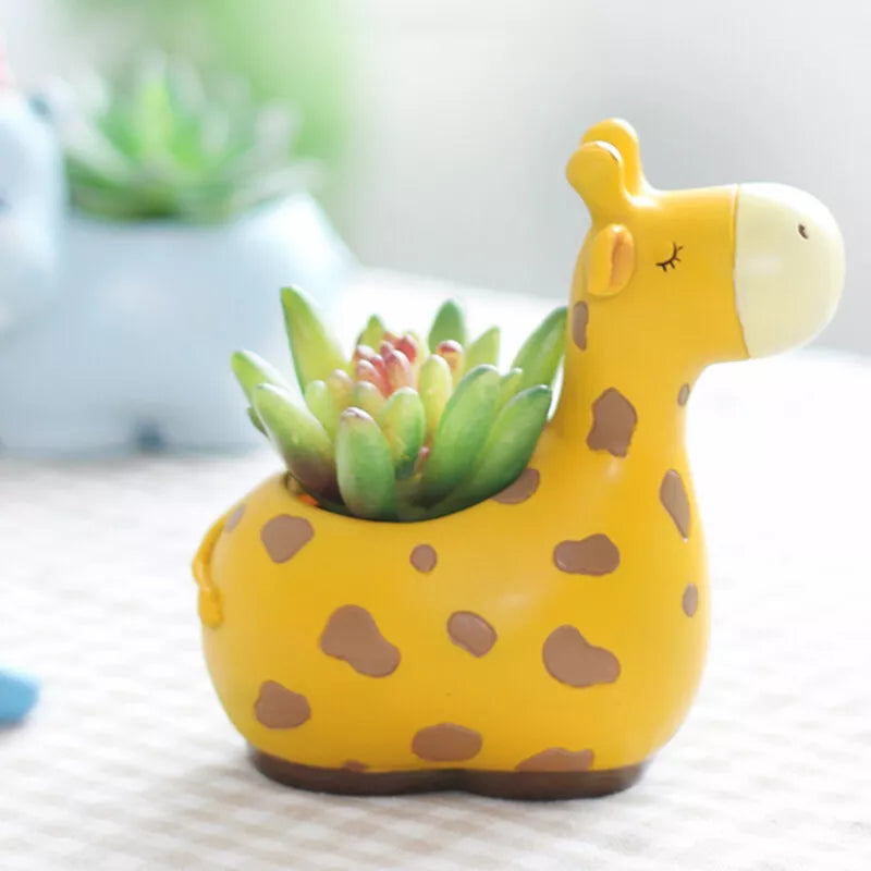 Animal Plant Pots – Funny Animal Designs for Succulents and Cacti