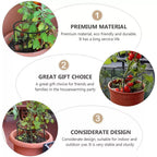 Climbing support for plants – Robust holder with cage design for growth and stability