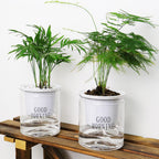 Self-watering Hydro-Flower Pot
