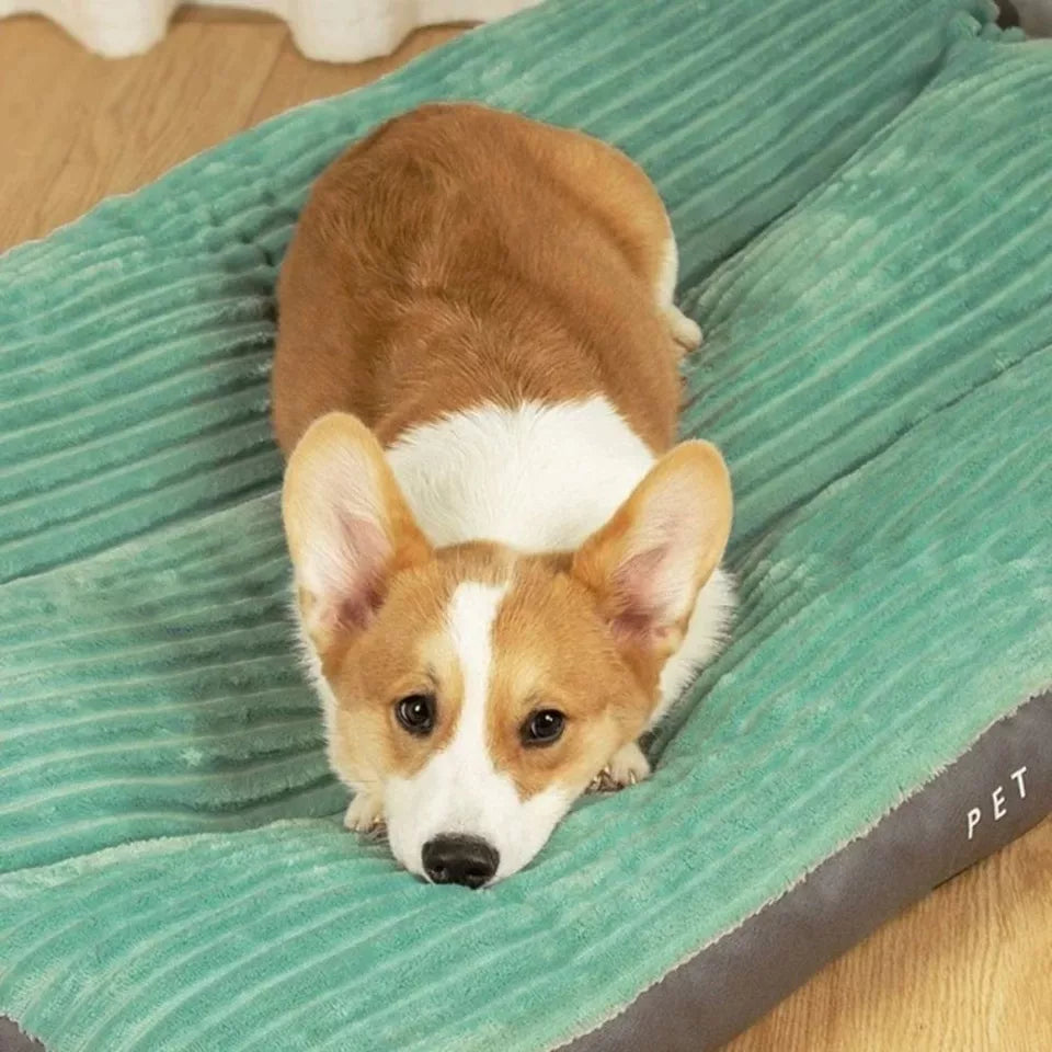 DreamRest Orthopedic Dog Bed – Fluffy, Supportive & Washable Comfort