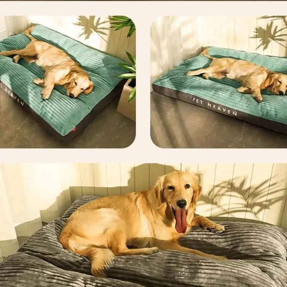 Cozy & Supportive for Restful Nights