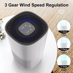 Compact Air Purifier | True HEPA Filter, Ultra-Quiet & Ideal for Small to Medium Rooms