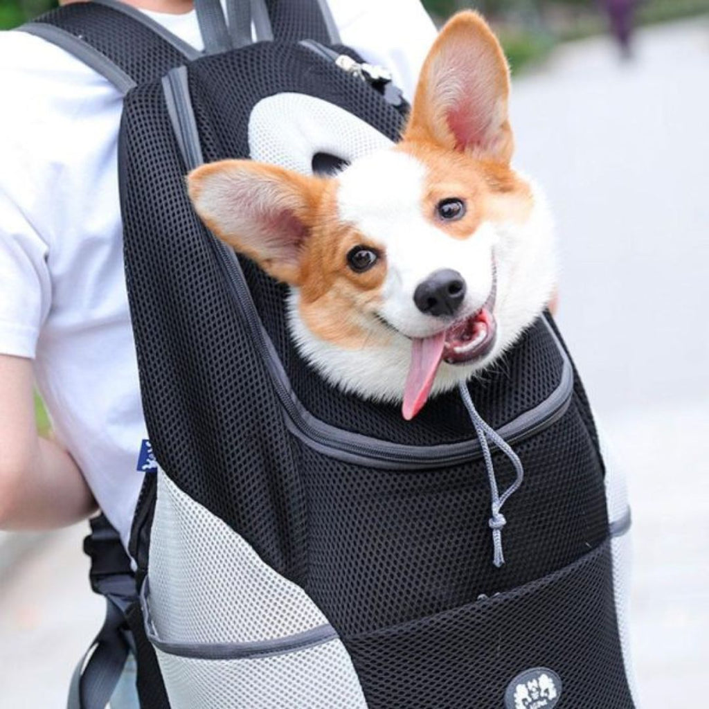 PawCarry – Together everywhere on the go