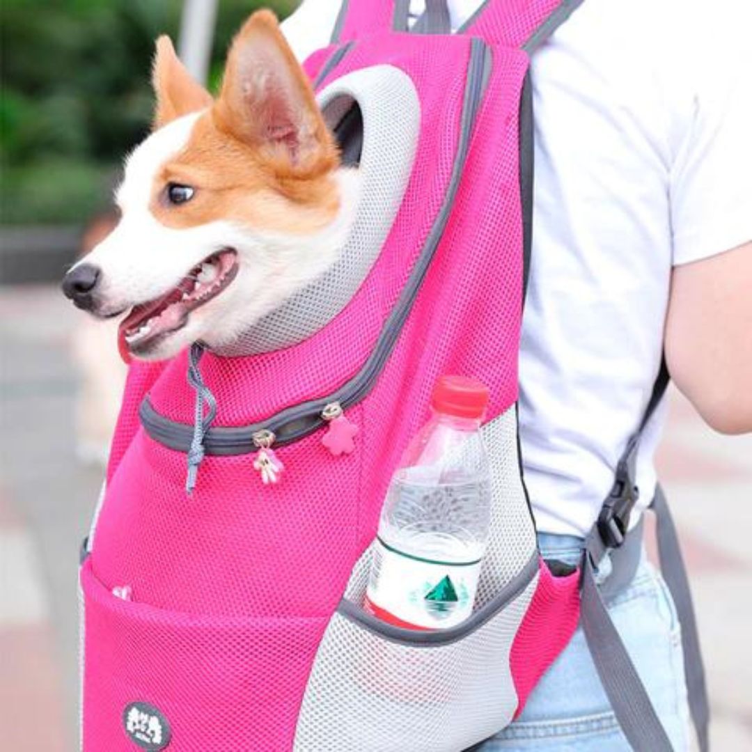 PawCarry – Together everywhere on the go