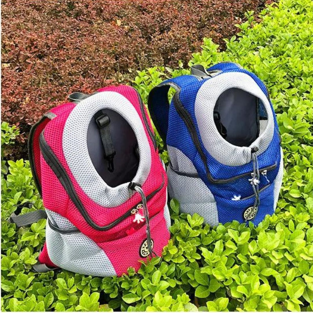 PawCarry – Together everywhere on the go