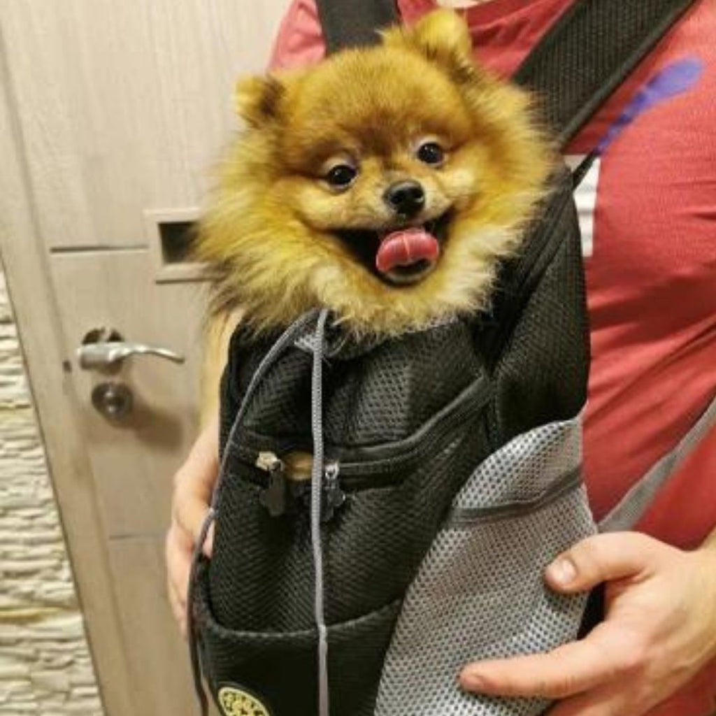PawCarry – Together everywhere on the go