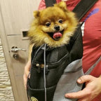 PawCarry – Together everywhere on the go