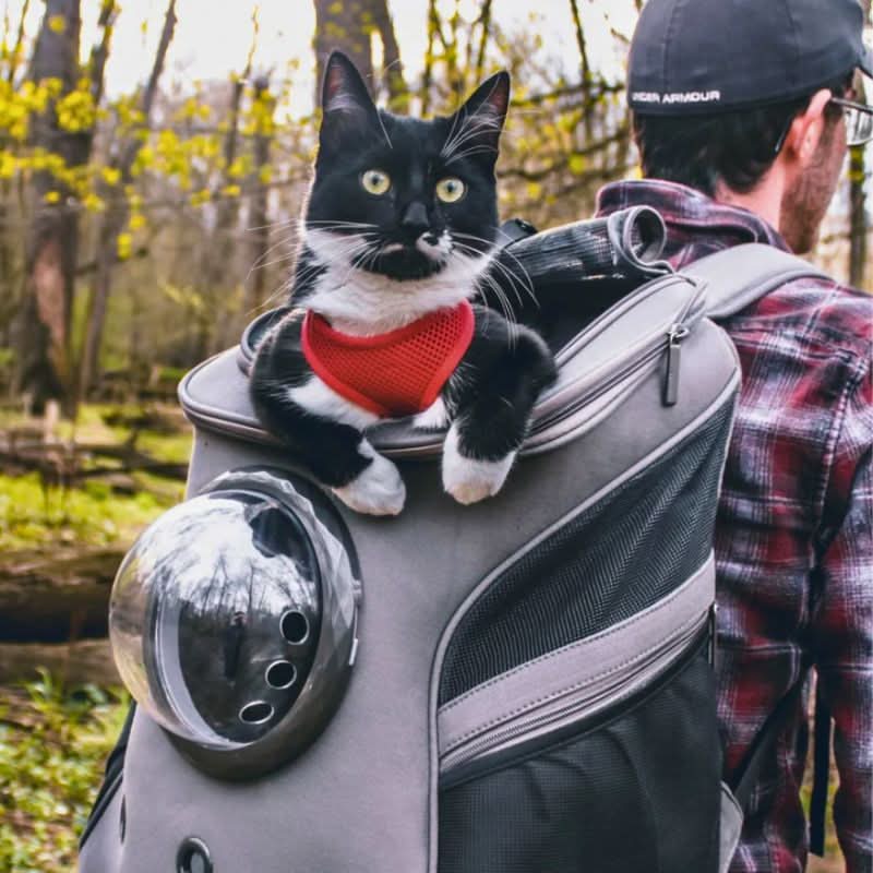Foldable Cat Travel Bag with Panoramic Window for Stress-Free Travel