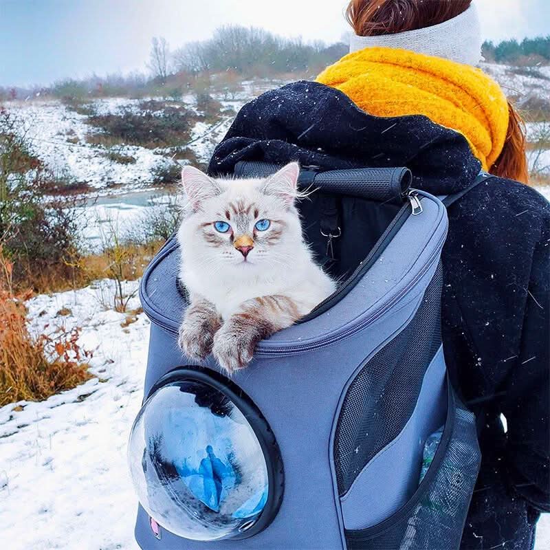 Foldable Cat Travel Bag with Panoramic Window for Stress-Free Travel