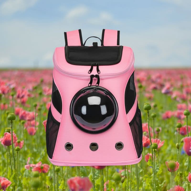 Foldable Cat Travel Bag with Panoramic Window for Stress-Free Travel