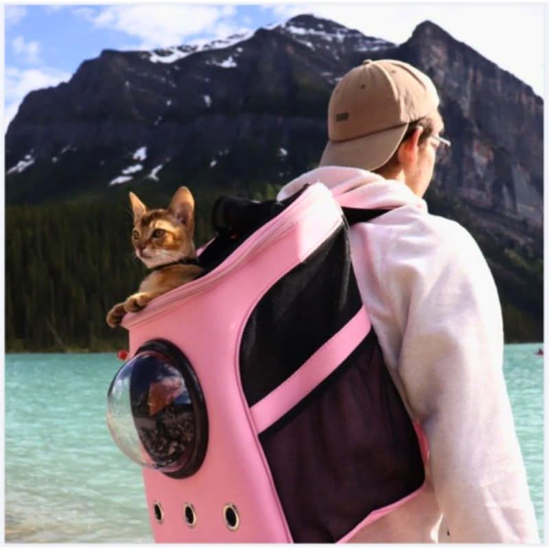 Foldable Cat Travel Bag with Panoramic Window & Comfort Design
