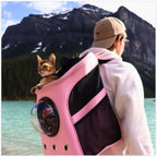 Foldable Cat Travel Bag with Panoramic Window & Comfort Design