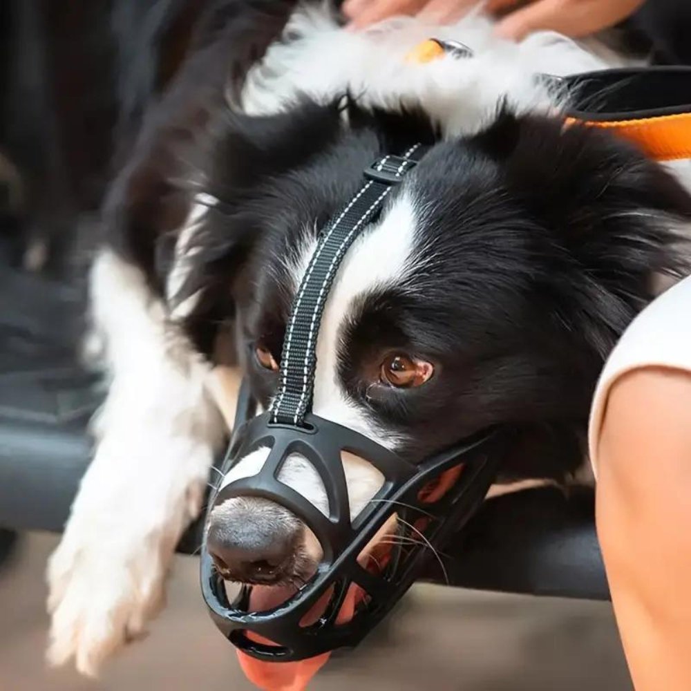 SafeBark - Dog Muzzle