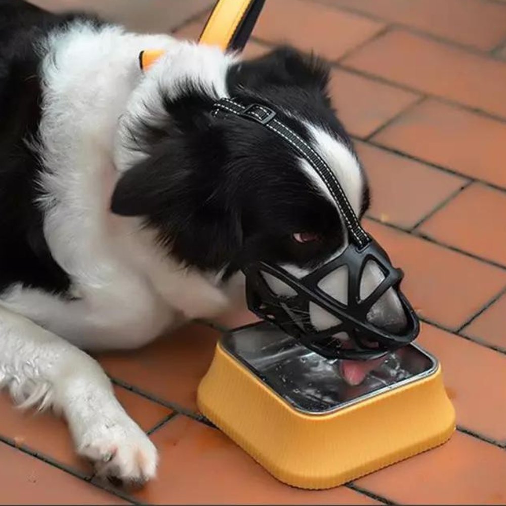 SafeBark - Dog Muzzle