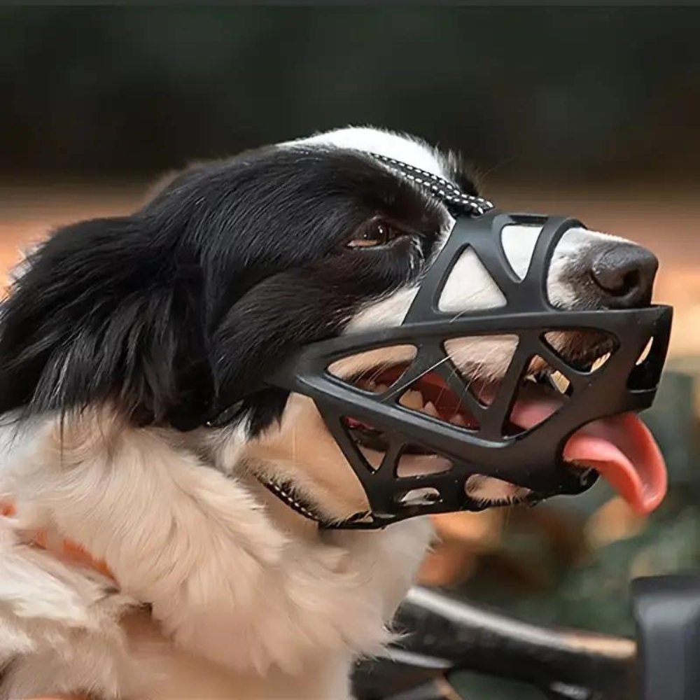 SafeBark - Dog Muzzle