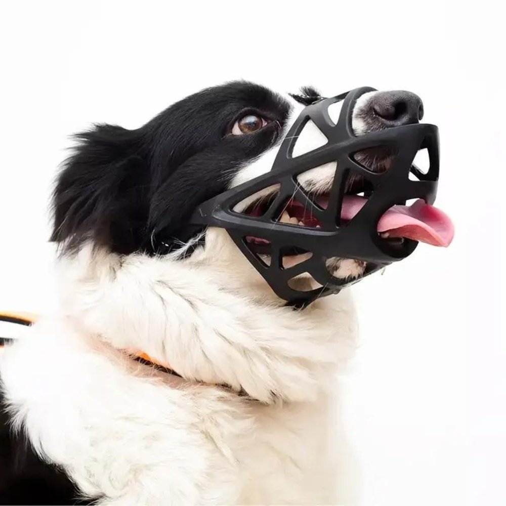 SafeBark - Dog Muzzle