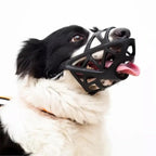 SafeBark - Dog Muzzle
