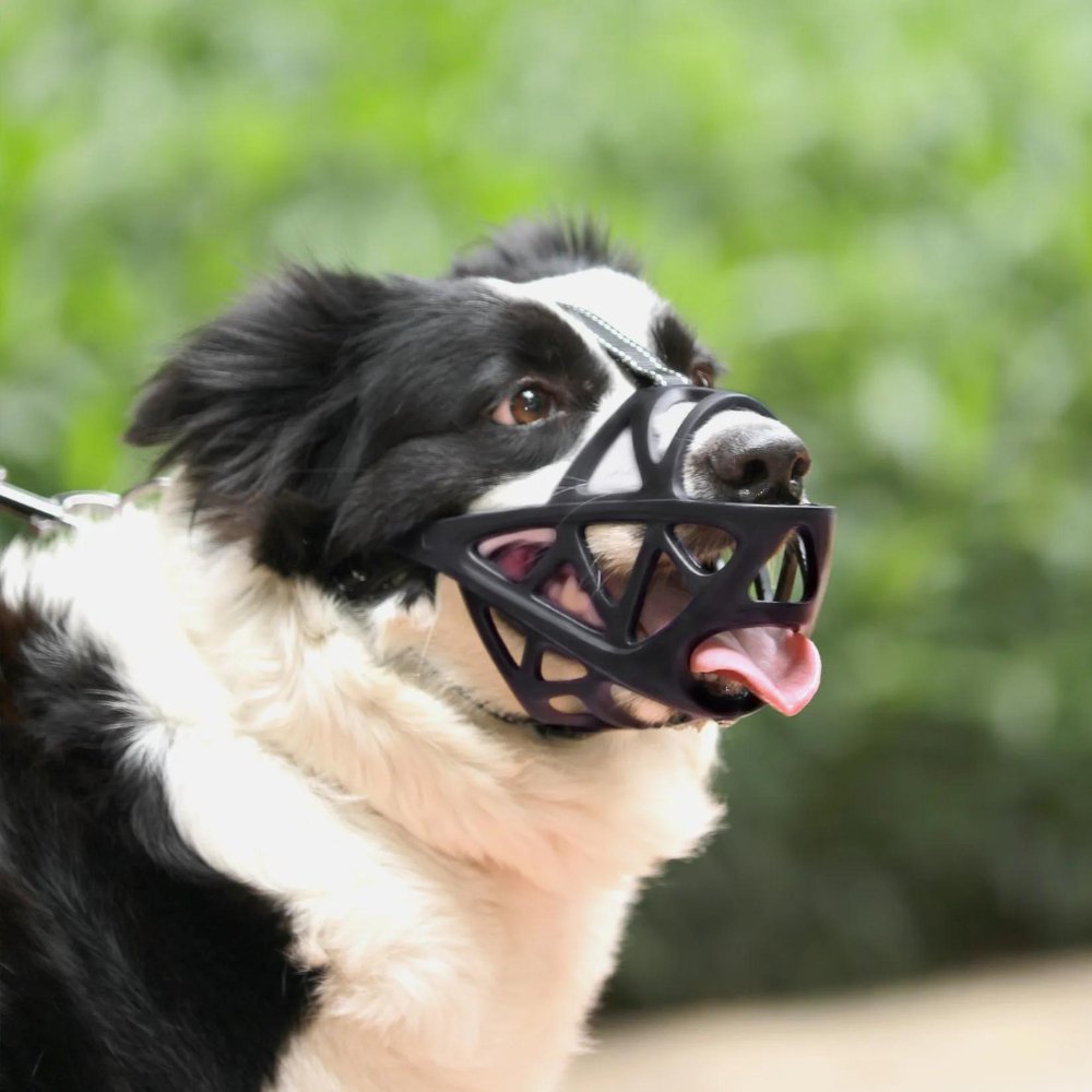 SafeBark - Dog Muzzle