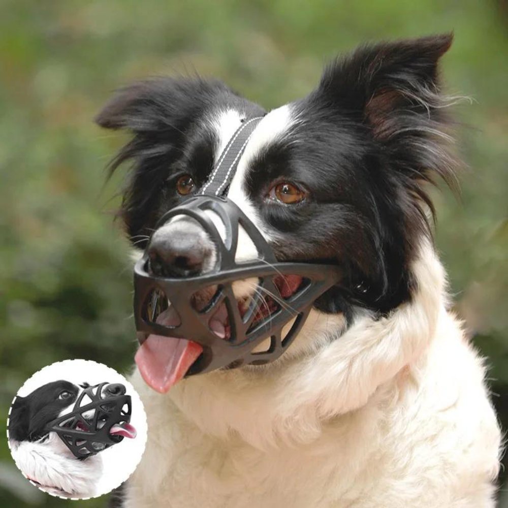 SafeBark - Dog Muzzle