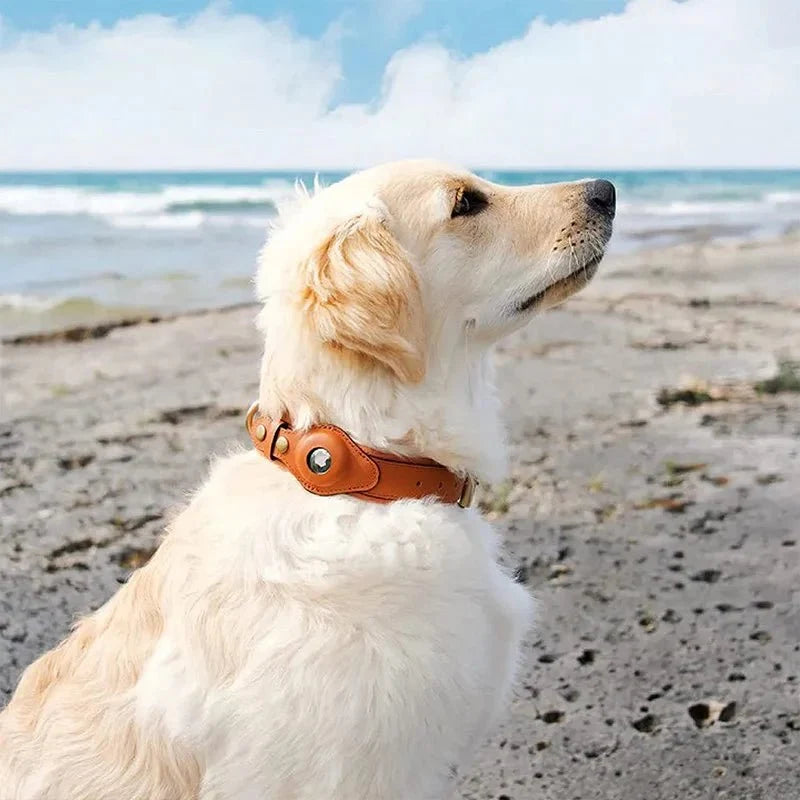 SafeTrack - Premium AirTag Dog Collar
