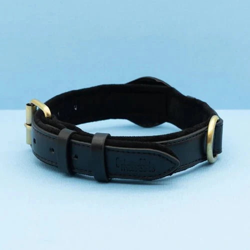 SafeTrack - Premium AirTag Dog Collar