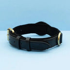 SafeTrack - Premium AirTag Dog Collar