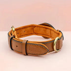SafeTrack - Premium AirTag Dog Collar