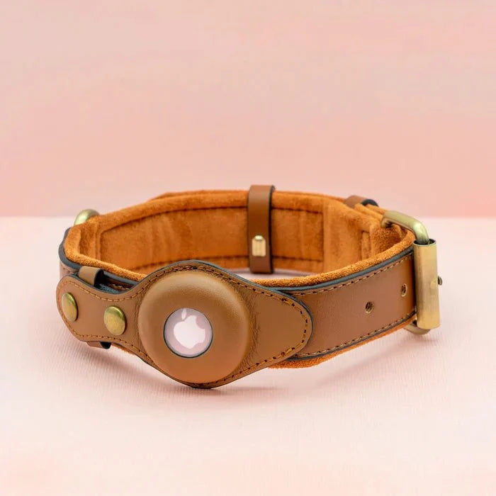 SafeTrack - Premium AirTag Dog Collar