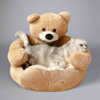 Cozy Cat Bed with Security & Comfort