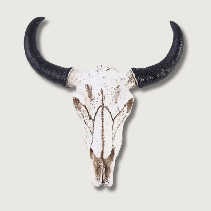 Decorative Resin Longhorn Skull Wall Art