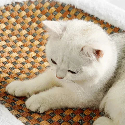 Scratching Bed for Cats - PurrLuxe