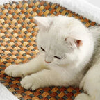 Scratching Bed for Cats - PurrLuxe