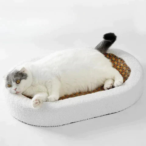 Scratching Bed for Cats - PurrLuxe