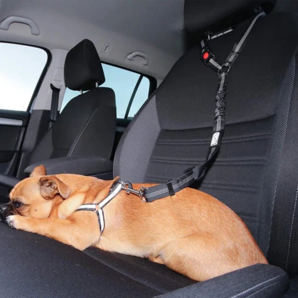 SecureRider - Car Seat Belt
