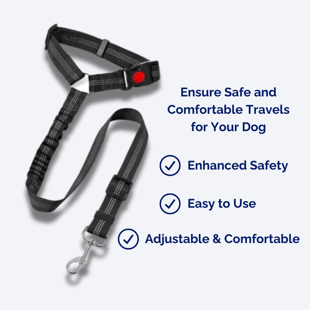 SecureRider - Car Seat Belt