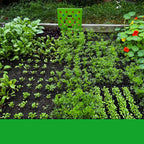 GardenLux Elite Seed Starter Set | Transform your gardening experience with expert guidance and premium tools
